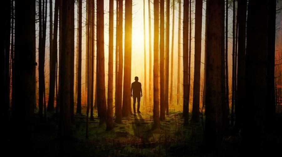 Grzyby adaptogenne Kamil Krzesimowski szkolenie