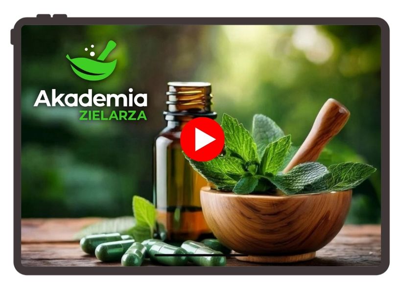 Kudzu – roślina, która pomaga wyjść z nałogu