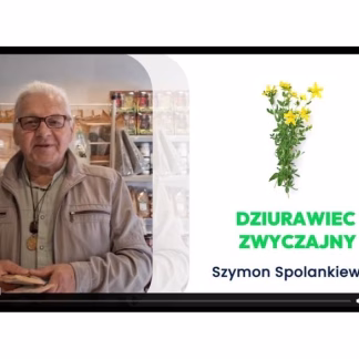 Dziurawiec