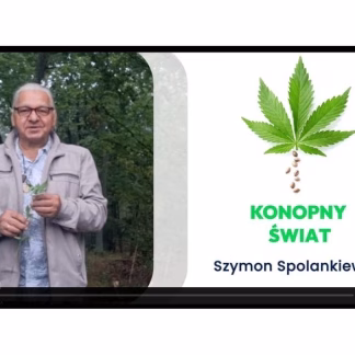 Konopie