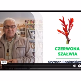 Szałwia czerwona i Sarsaparilla – ziołowy duet oczyszczająco-wzmacniający