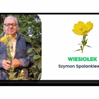 Wiesiołek - Akademia Zielarza Nature Clinic