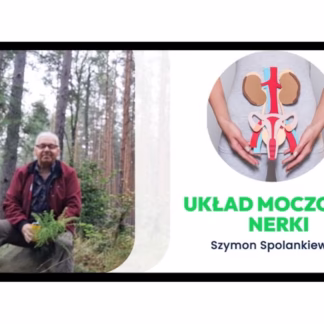 Układ moczowy i nerki - Akademia Zielarza