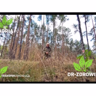 Leśna metoda asekuracyjna  - naturalne wsparcie ochrony przed kleszczami